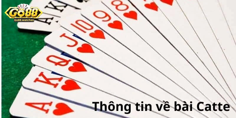 Hướng Dẫn Luật Chơi Catte Cơ Bản Và Một Vài Mẹo Hay Từ Go88